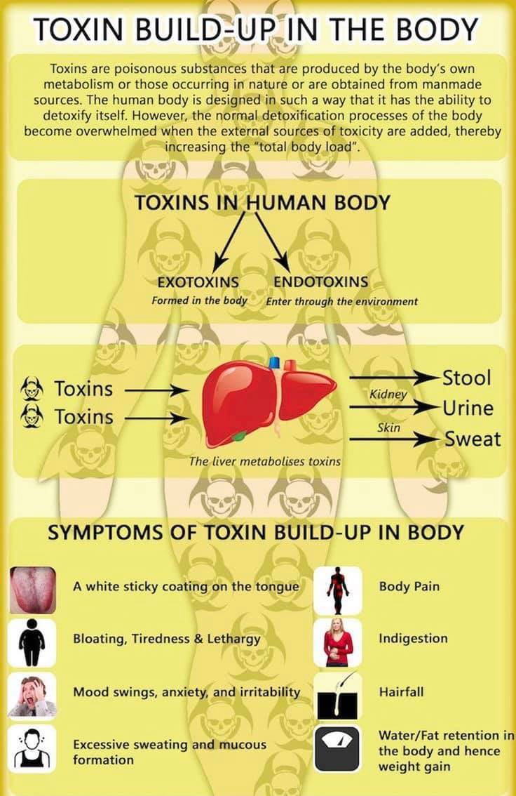 242787690 10159440334718399 2260800137156000778 n