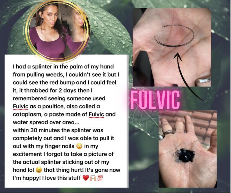 244422911 4641019012608929 4596016224715693573 n 768x643