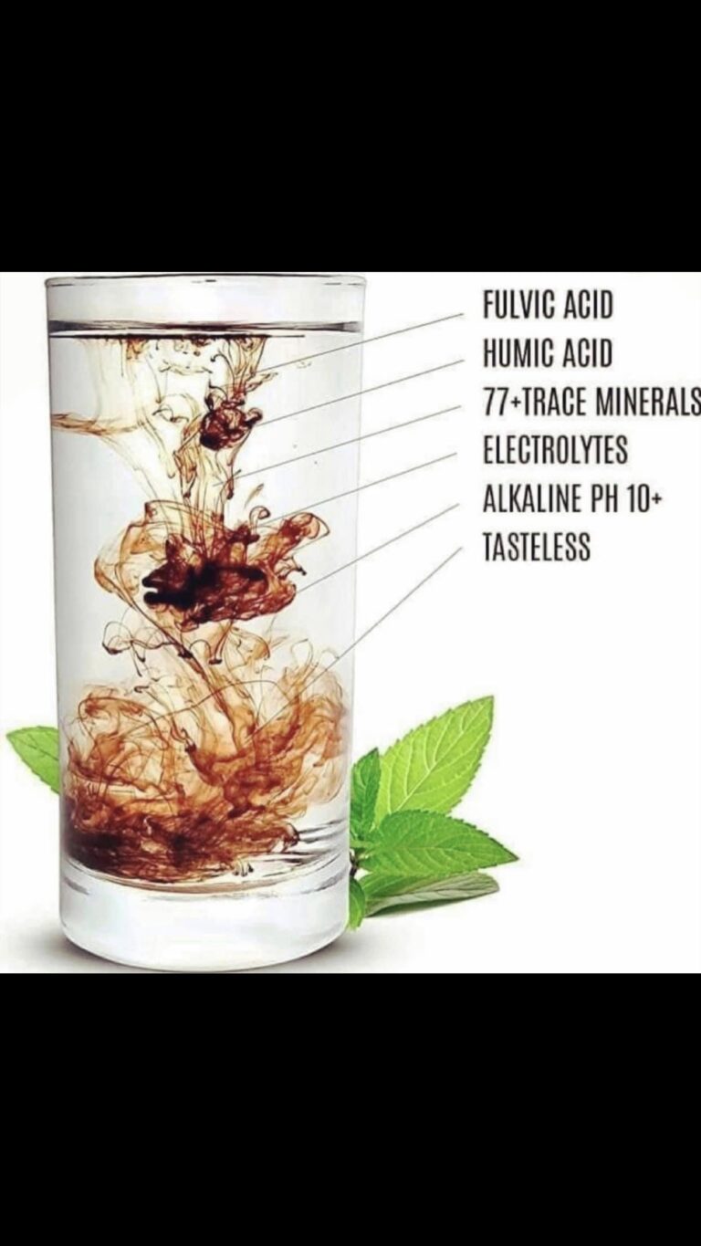 fullsizeoutput 72f5 768x1365