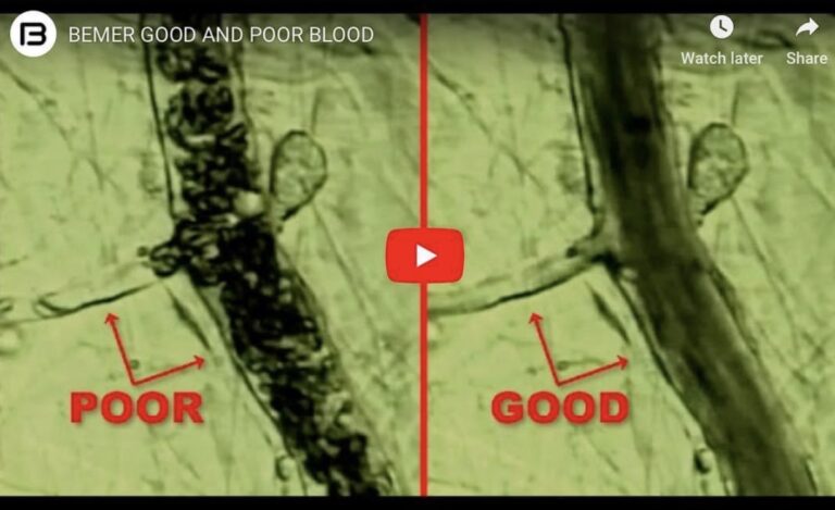 fullsizeoutput 794c 768x469